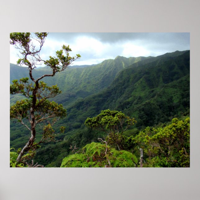 Hawaiian Koolau Mountains Poster (Front)