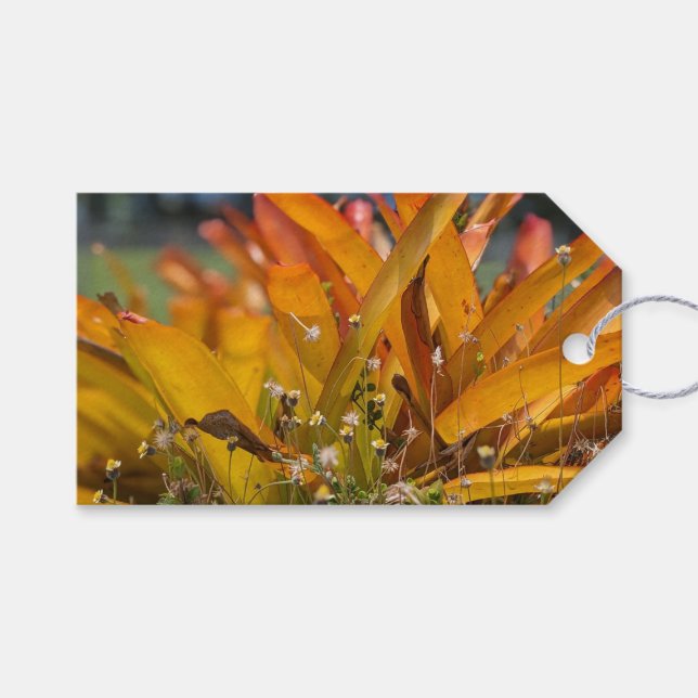 Hawaiian Landscape Photo  Gift Tags (Front (Horizontal))