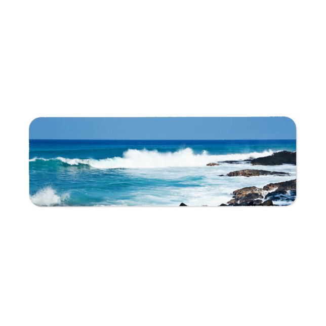 Hawaiian Lava Rock and Coral Ocean - Hawaii (Front)
