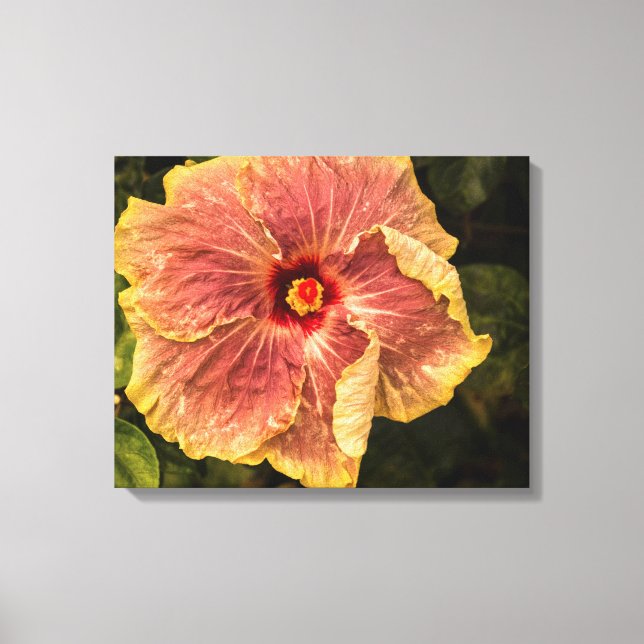 Hawaiian Lilac Hibiscus from Kauai Photograph Canvas Print (Front)