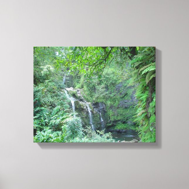 Hawaiian (Maui) Waterfall Canvas Print (Front)