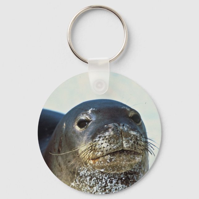 Hawaiian Monk Seal Key Ring (Front)