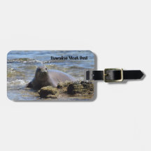 Hawaiian Monk Seal