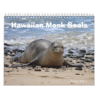 Hawaiian Monk Seals