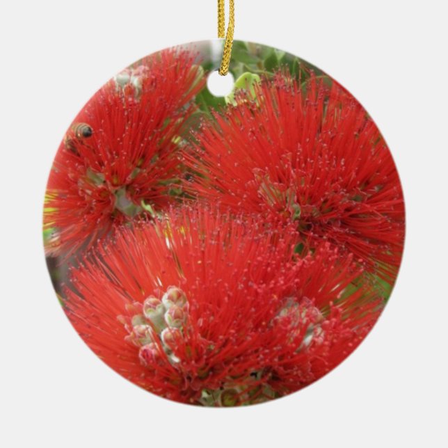 Hawaiian Native Ohia Lehua Flower Design Ceramic Tree Decoration (Front)