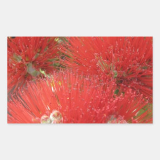 Hawaiian Native Ohia Lehua Flower Design Rectangular Sticker