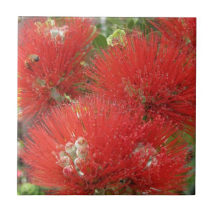 Hawaiian Native Ohia Lehua Flower Design Tile