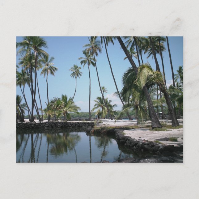 Hawaiian Oasis Postcard (Front)