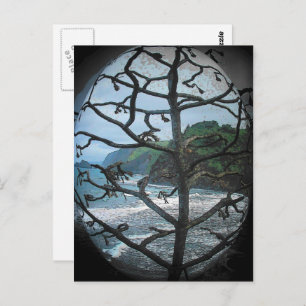 Hawaiian Ocean Beach Tree Photo Spotlight Postcard