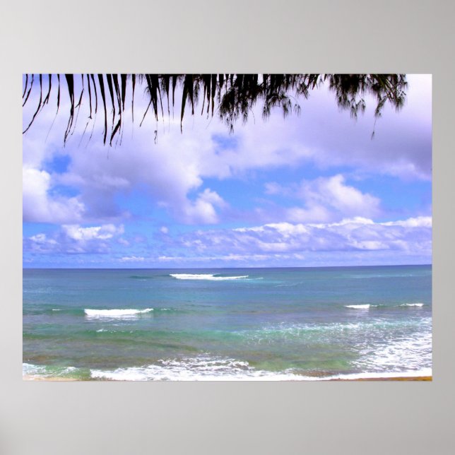 Hawaiian Ocean Poster (Front)
