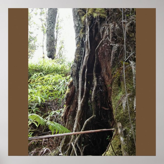 HAWAIIAN OHIA TREE POSTER (Front)