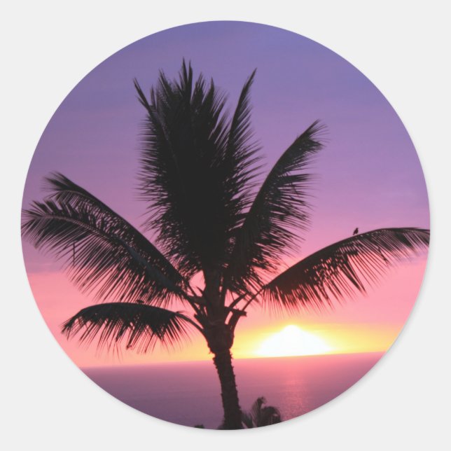 Hawaiian Palm Tree & Colourful Sunset Classic Round Sticker (Front)