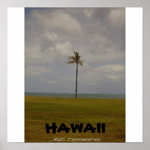 Hawaiian Palm Tree Poster