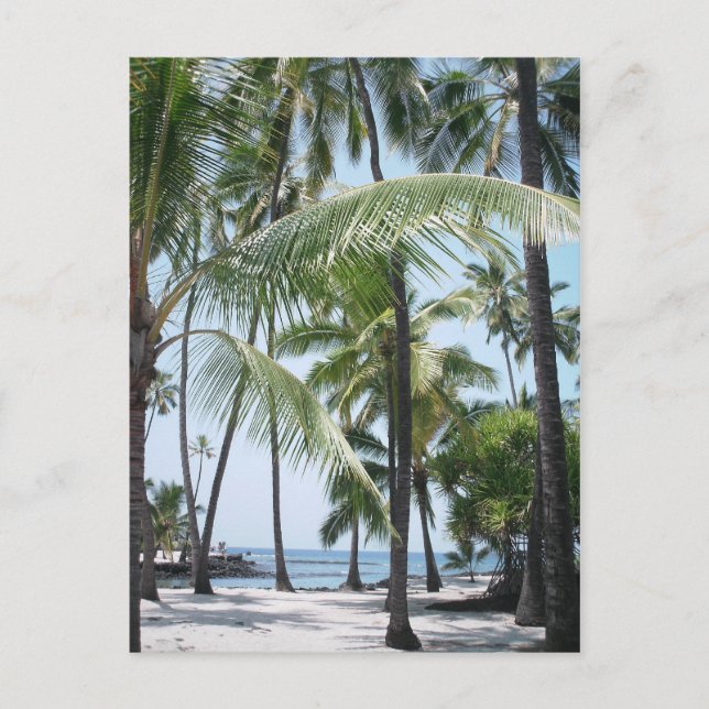 Hawaiian Paradise Postcard (Front)