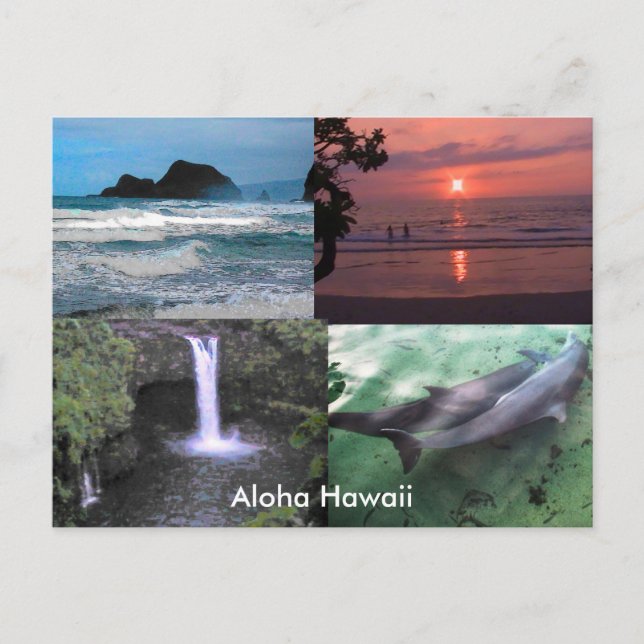 Hawaiian Photo Collection Off Mainland Postcard (Front)