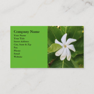 Hawaiian Pikake Jasmine Blossom Business Card