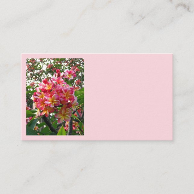 Hawaiian Plumeria Business Card (Front)