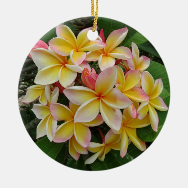 Hawaiian Plumeria Ceramic Tree Decoration (Front)