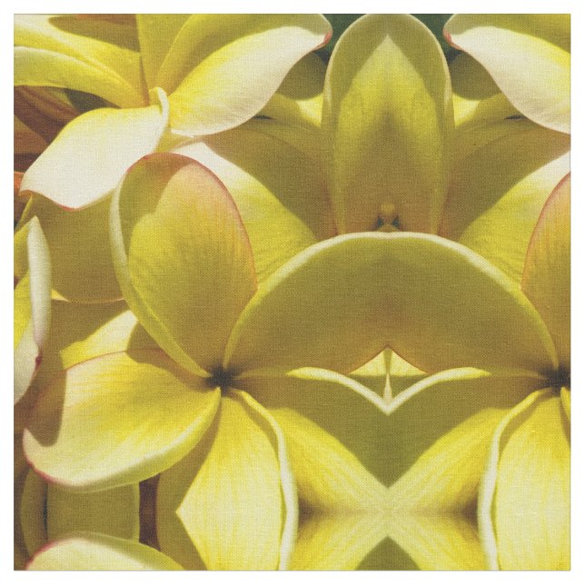 Hawaiian Plumeria Fabric (Close Up)