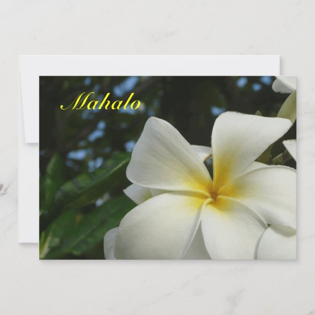 Hawaiian Plumeria Flower Sympathy Thank You Card (Front)