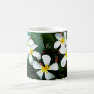 Hawaiian Plumeria Flowers Mug