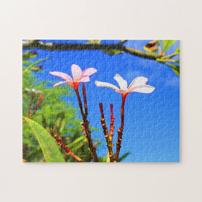 Hawaiian Plumeria Jigsaw Puzzle (Horizontal)
