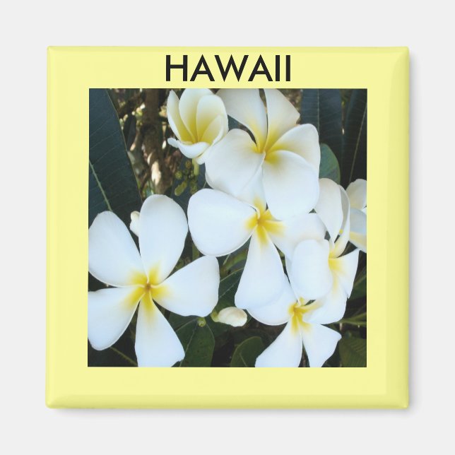 Hawaiian Plumeria Magnet (Front)