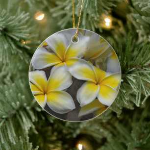 Hawaiian Plumeria Soft Petal Ceramic Tree Decoration