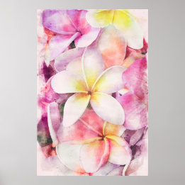 Hawaiian Plumeria Tropical Floral Watercolor Poster