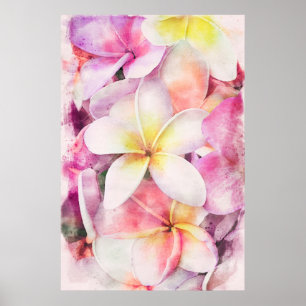 Hawaiian Plumeria Tropical Floral Watercolor Poster