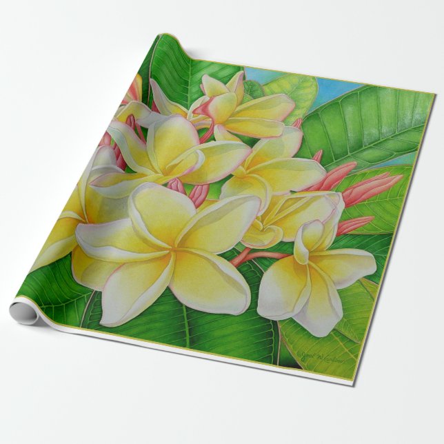 Hawaiian Plumeria Wrapping Paper (Unrolled)
