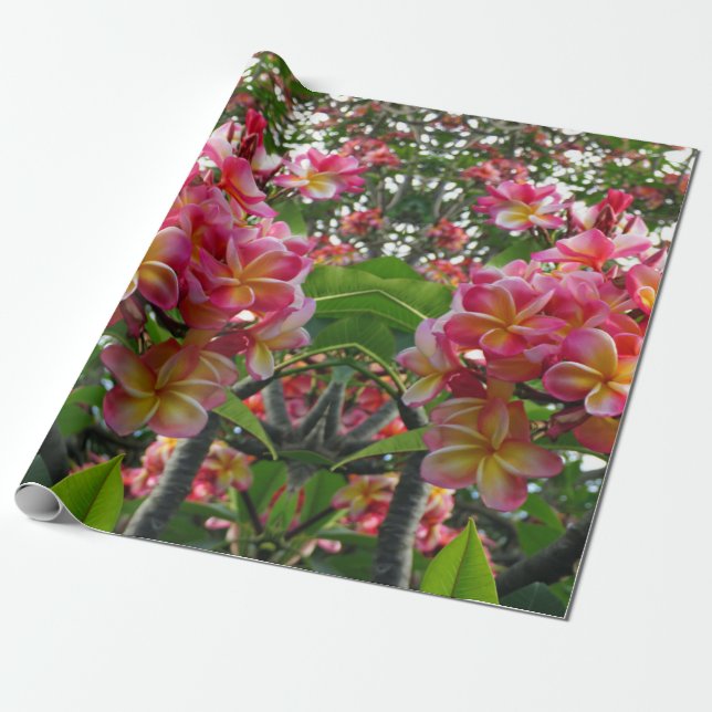 Hawaiian Plumeria Wrapping Paper (Unrolled)