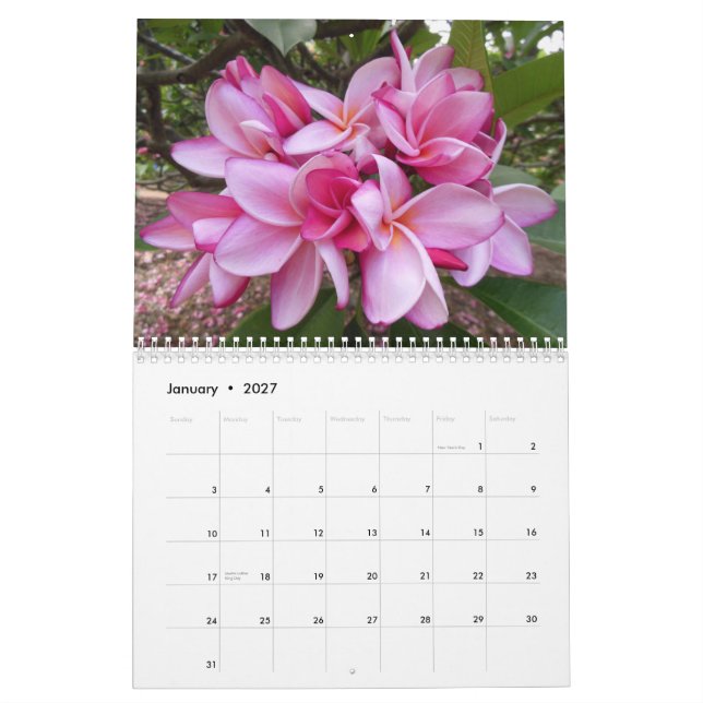 Hawaiian Plumerias Calendar (Jan 2027)