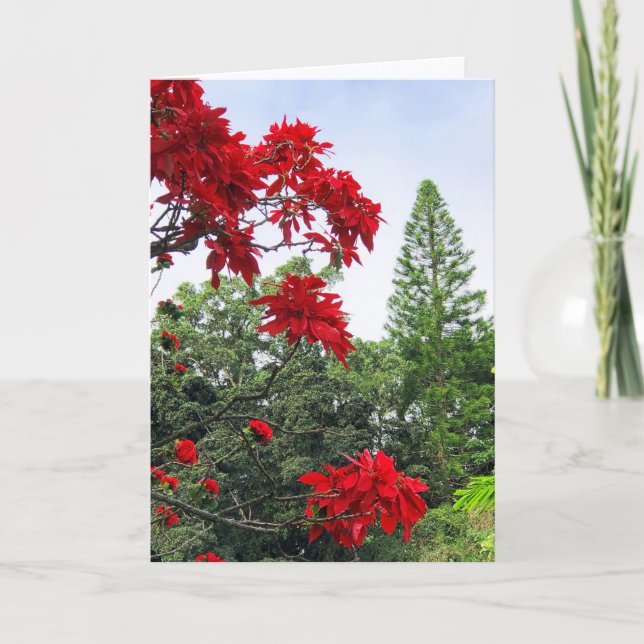 Hawaiian Poinsettias Card (Front)