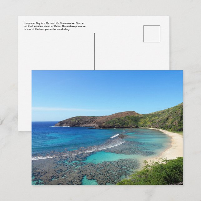 Hawaiian Postcard (Front/Back)