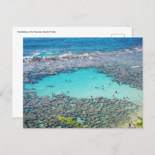 Hawaiian Postcard