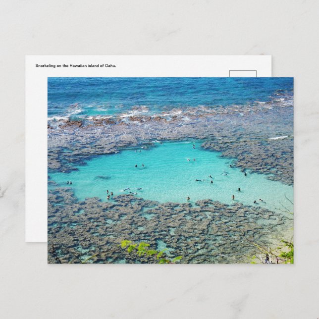 Hawaiian Postcard (Front/Back)