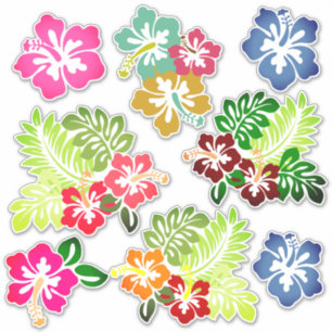 Hawaiian Print