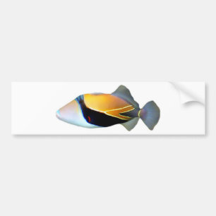 Hawaiian Reef Trigger Fish Bumper Sticker