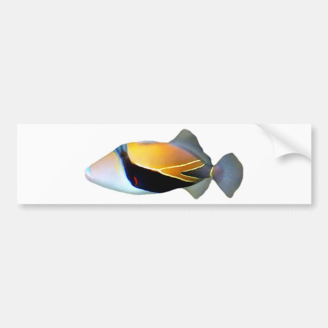 Hawaiian Reef Trigger Fish Bumper Sticker (Front)