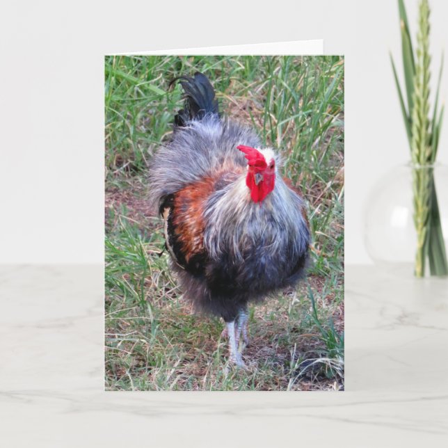 Hawaiian Rooster Card (Front)