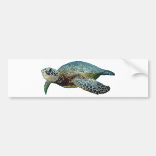 Hawaiian Sea Turtle Bumper Sticker