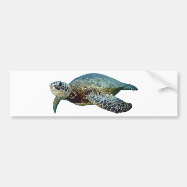 Hawaiian Sea Turtle Bumper Sticker (Front)