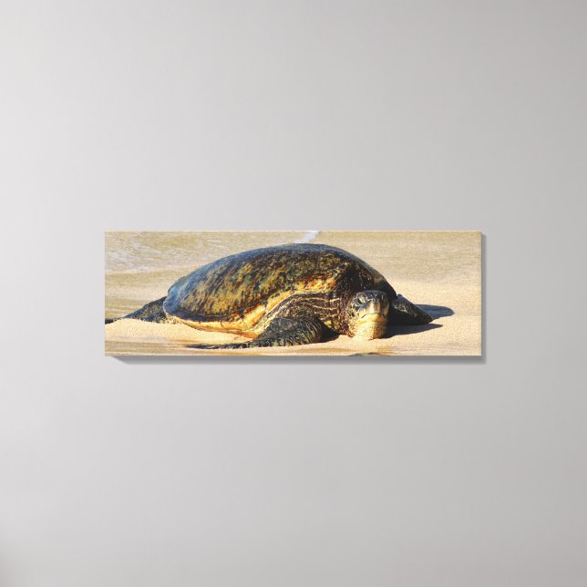 Hawaiian Sea Turtle Canvas Print (Front)