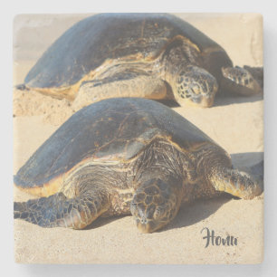 Hawaiian Sea Turtle Coaster