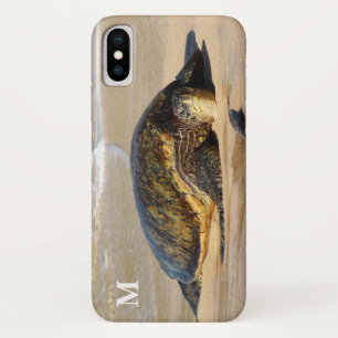 Hawaiian Sea Turtle iPhone Case