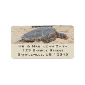 Hawaiian Sea Turtle Label