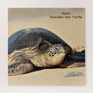 Hawaiian Sea Turtle Puzzle