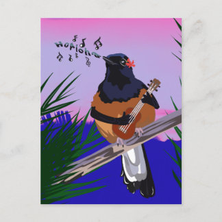 Hawaiian Shama Bird playing ukulele  Postcard