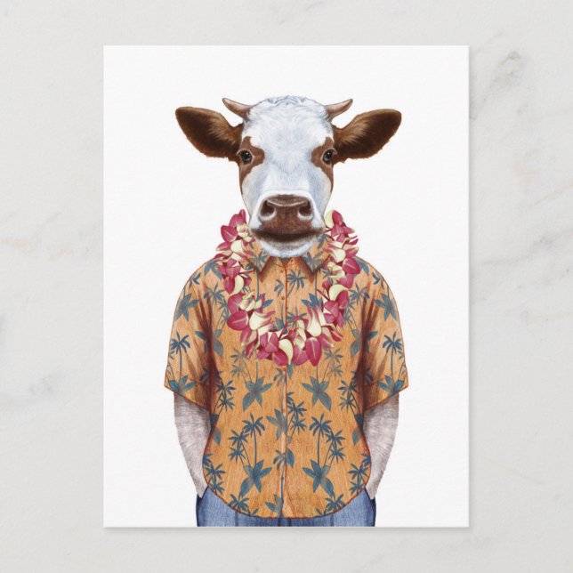 Hawaiian Shirt Cow Postcard (Front)